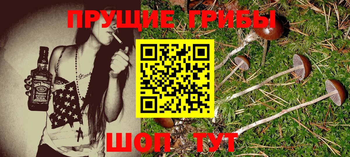 Галлюциногенные грибы мухоморы Чернушка