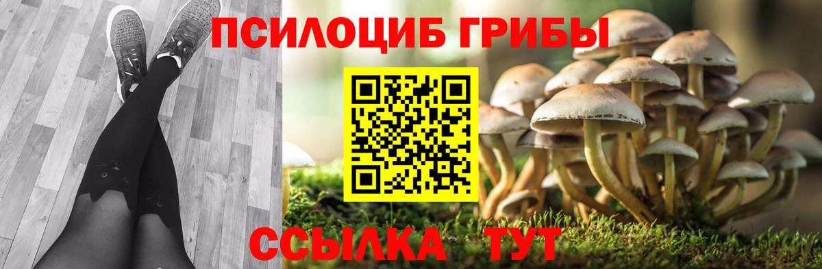 Чернушка  Галлюциногенные грибы мицелий  Вход с VPN  дарнет шоп  Галлюциногенные грибы GOLDEN TEACHER 